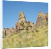 Low angle view of rock formations viewed through grass, Utah, USA by Anonymous