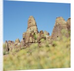Low angle view of rock formations viewed through grass, Utah, USA by Anonymous
