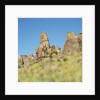 Low angle view of rock formations viewed through grass, Utah, USA by Anonymous