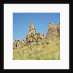 Low angle view of rock formations viewed through grass, Utah, USA by Anonymous