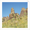 Low angle view of rock formations viewed through grass, Utah, USA by Anonymous