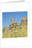 Low angle view of rock formations viewed through grass, Utah, USA by Anonymous