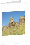 Low angle view of rock formations viewed through grass, Utah, USA by Anonymous