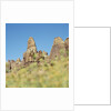 Low angle view of rock formations viewed through grass, Utah, USA by Anonymous