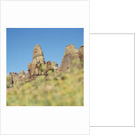 Low angle view of rock formations viewed through grass, Utah, USA by Anonymous
