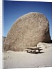 Rock in Joshua Tree National Park by Anonymous