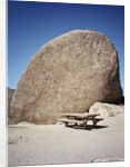 Rock in Joshua Tree National Park by Anonymous