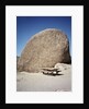 Rock in Joshua Tree National Park by Anonymous