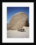 Rock in Joshua Tree National Park by Anonymous