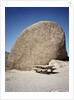 Rock in Joshua Tree National Park by Anonymous