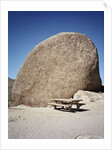 Rock in Joshua Tree National Park by Anonymous