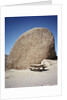 Rock in Joshua Tree National Park by Anonymous