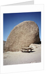 Rock in Joshua Tree National Park by Anonymous