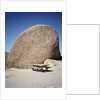 Rock in Joshua Tree National Park by Anonymous