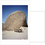 Rock in Joshua Tree National Park by Anonymous