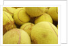 Tennis balls by Anonymous