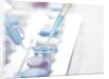 DNA Testing by Anonymous