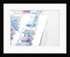 DNA Testing by Anonymous