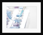 DNA Testing by Anonymous