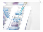 DNA Testing by Anonymous