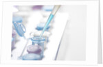 DNA Testing by Anonymous
