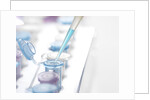 DNA Testing by Anonymous