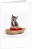 Kitten on Straw Hat by Anonymous