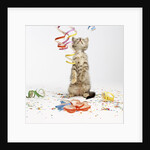Kitten at Party by Anonymous