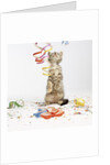 Kitten at Party by Anonymous