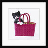 Kitten in Basket by Anonymous
