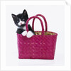 Kitten in Basket by Anonymous
