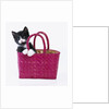 Kitten in Basket by Anonymous