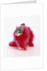 Kitten Wearing Feather Boa by Anonymous