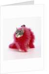 Kitten Wearing Feather Boa by Anonymous