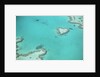 Aerial view of the Great Barrier Reef, Queensland, Australia by Anonymous