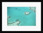 Aerial view of the Great Barrier Reef, Queensland, Australia by Anonymous
