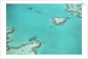 Aerial view of the Great Barrier Reef, Queensland, Australia by Anonymous