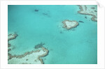Aerial view of the Great Barrier Reef, Queensland, Australia by Anonymous