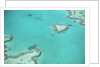 Aerial view of the Great Barrier Reef, Queensland, Australia by Anonymous