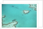 Aerial view of the Great Barrier Reef, Queensland, Australia by Anonymous
