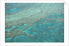 Aerial view of the Great Barrier Reef, Queensland, Australia by Anonymous