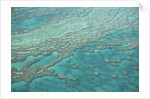 Aerial view of the Great Barrier Reef, Queensland, Australia by Anonymous
