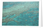 Aerial view of the Great Barrier Reef, Queensland, Australia by Anonymous