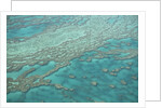 Aerial view of the Great Barrier Reef, Queensland, Australia by Anonymous