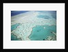 Aerial view of the Great Barrier Reef, Queensland, Australia by Anonymous
