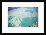 Aerial view of the Great Barrier Reef, Queensland, Australia by Anonymous