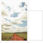 View of a red dirt road through a field by Anonymous