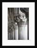 Columns of the Doge's Palace by Anonymous