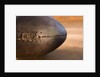 Old Football by Anonymous