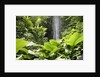 Waterfall in Rain Forest, Jurong Bird Park, Singapore by Anonymous